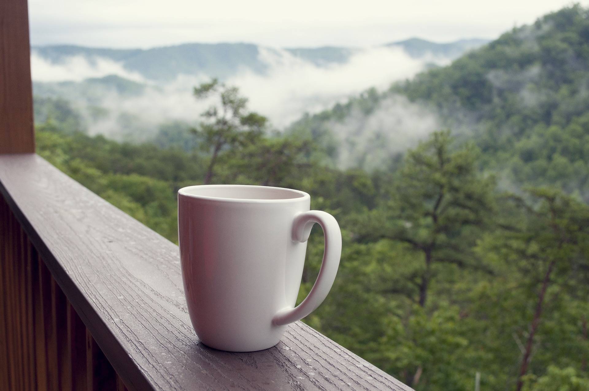 coffee in the smoky mountains