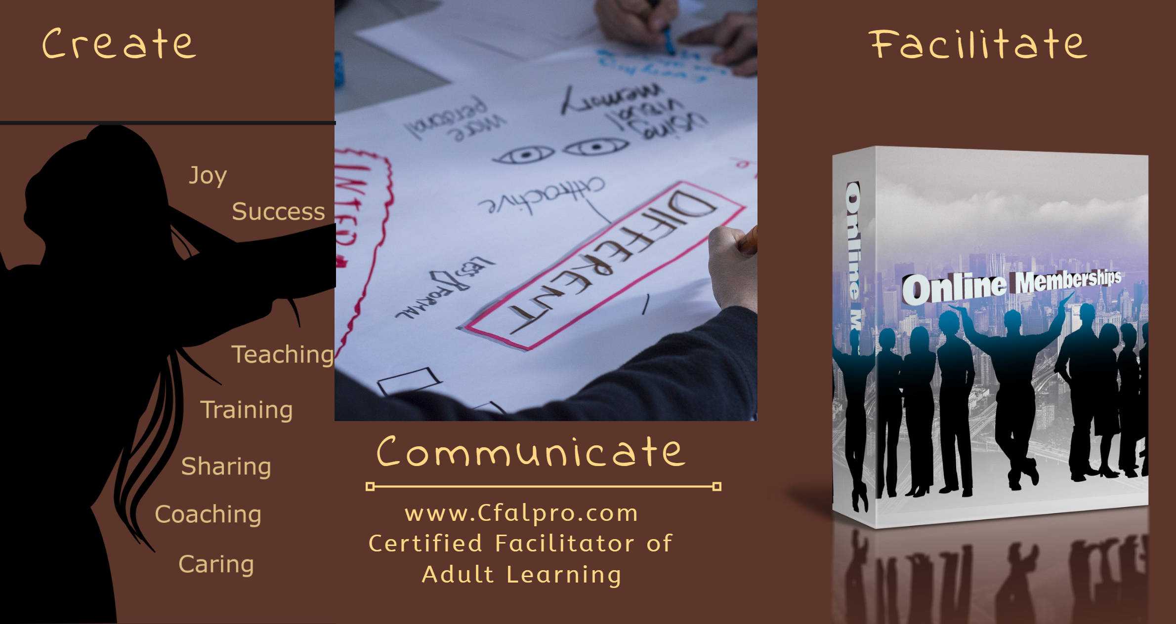 Certified Facilitator of Adult Learning - create, communicate, facilitte